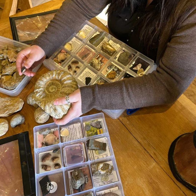 lady holding fossils at Broadway Museum